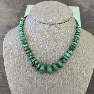 Elegant Green Turquoise Howlite Beaded Necklace